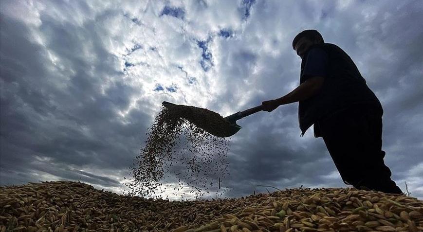 Çiftçilere 1,7 milyar lira tarımsal destekleme ödemesi bugün yapılacak