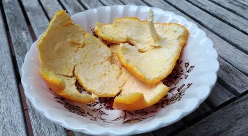 Çöpe atıyoruz ama şifası kabuğunda Kendinden daha çok vitamin içeriyor