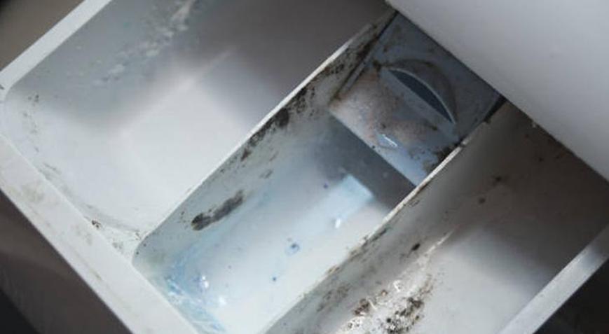Deterjan haznesindeki küf tarih oluyor Makineyi ilk günkü gibi yapan yöntem