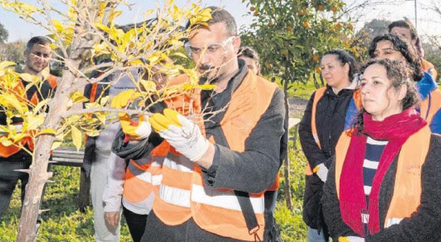 Türkiye’ye örnek istihdam modeli