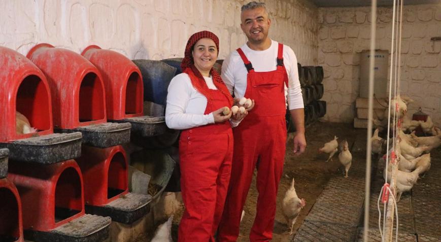 Şehir yaşamından sıkılan çift, 10 dönümlük çiftlik kurup doğal hayata döndü