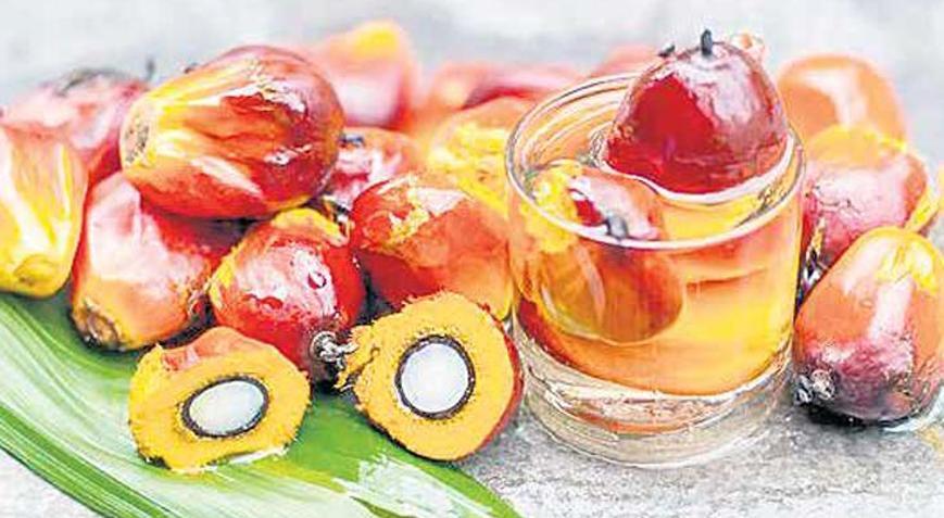 Palm yağına sıkı denetim