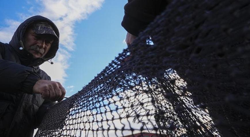 Yarısı tamamlanan av sezonunda hamsi ve sardalya yüz güldürdü