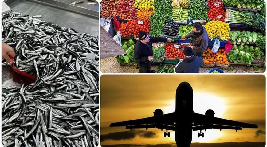 Aralık 2025te fiyatı en çok düşen hava yoluyla yolcu taşımacılığı oldu