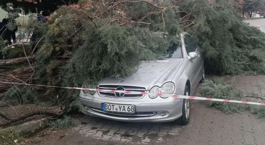 Gedizde fırtına; ağaçlar devrildi, bina dış cephe kaplamaları söküldü