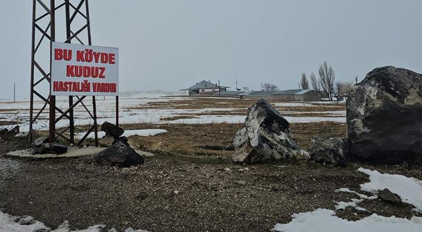 İlçede kuduz alarmı Karantina uygulaması başlatıldı