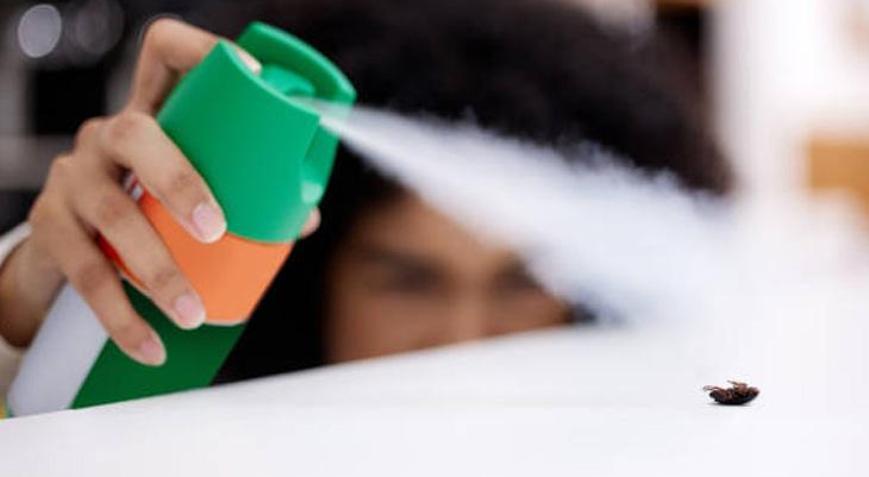 Böcekleri evden uzak tutmanın 12 etkili yöntemi İlaçlamaya gerek kalmayacak