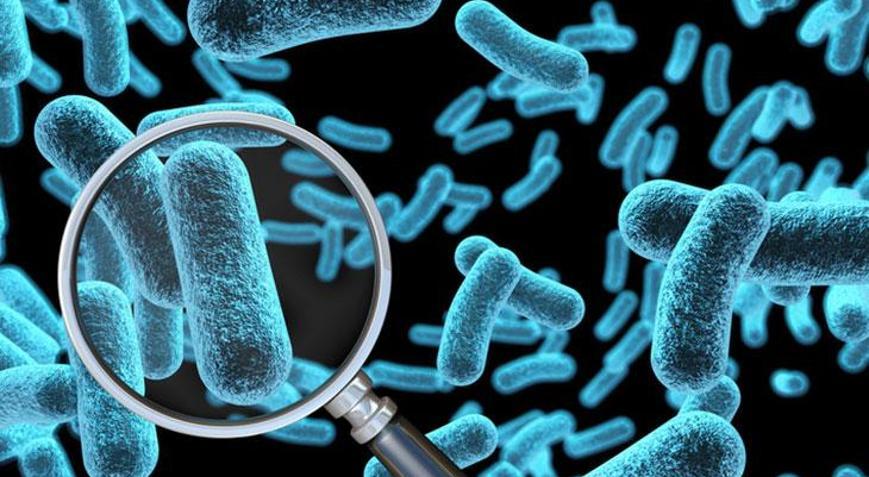 Klozetten daha kirli Masum sanıyorduk ama bu 8 eşya bakteri yuvası çıktı