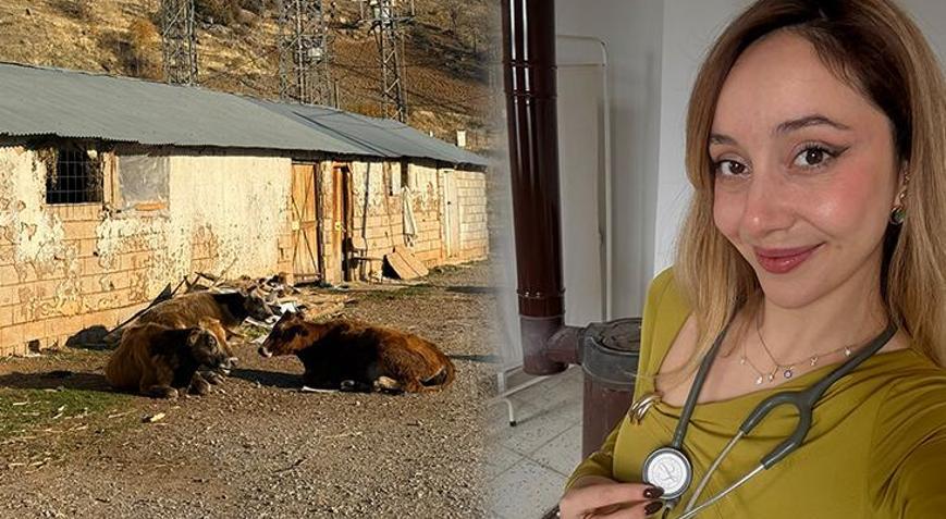 ABDyi bırakıp Şırnakta köy doktoru oldu Buradaki insanlardan aldığım dualar ruhumu besledi