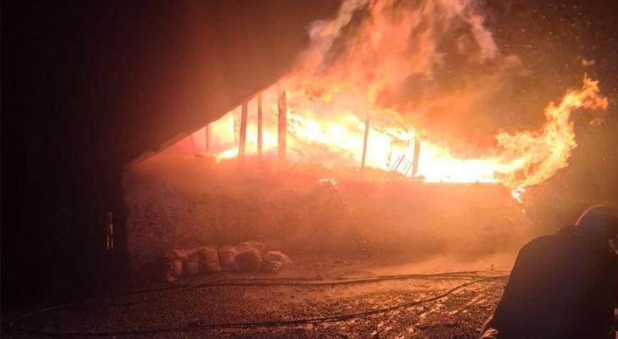 Yer: Adana Sobadan çıkan yangın, evi küle çevirdi