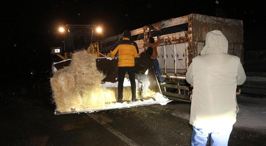 Bingöl’de tipide mahsur kalan büyükbaş hayvanlara saman ulaştırıldı