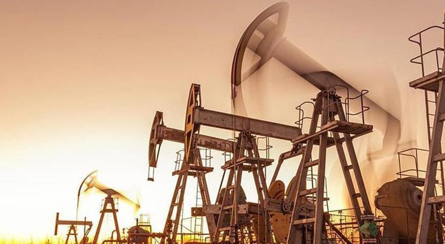 ABDnin ticari ham petrol stokları arttı