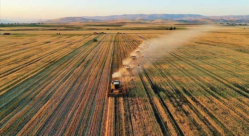 Tarım sektörüne yapılacak yatırımlarda bu yıl sulama projeleri öne çıkıyor