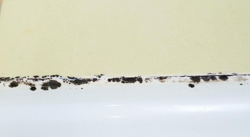 Ne küf kalıyor ne de kararma Silikonlardaki siyah lekeleri saniyeler içinde temizliyor