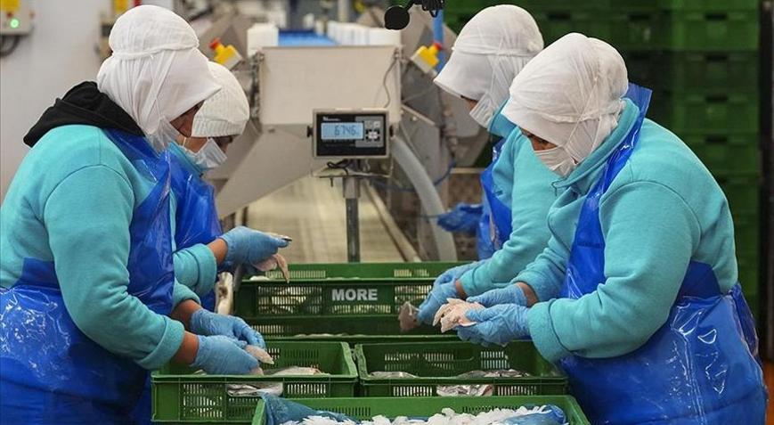 Su ürünleri ihracatının 3te 2ye yakını Egeli firmalardan