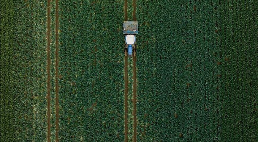 Hububatta üretim ve verim artışında yağışlar belirleyici olacak