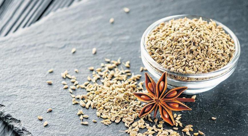 Toprağın hafızası kışın bedenle nasıl konuşur