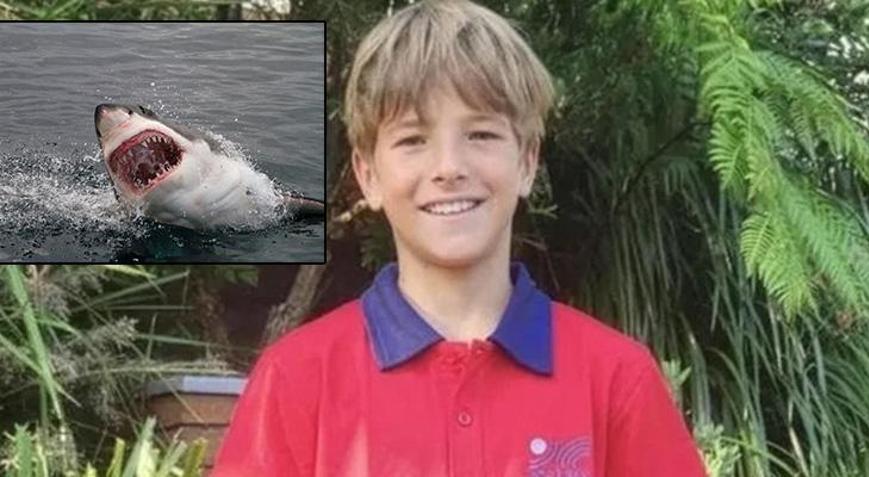 Köpekbalığı dehşeti 12 yaşındaki çocuk hayatını kaybetti