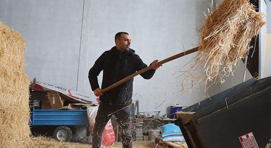 Devlet destek verdi: Erzincanlı genç girişimci hayvancılıktan modern üretime geçti