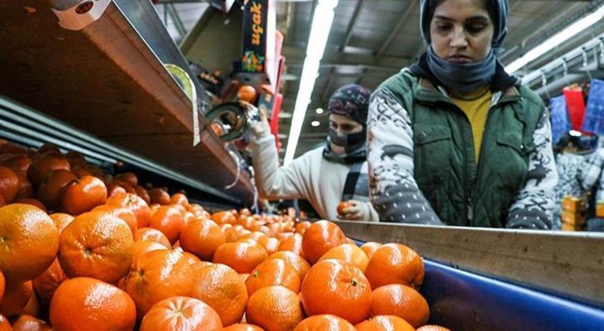 Narenciye ihracatı 2025te Türkiyeye 1 milyar 477 milyon 58 bin dolar kazandırdı