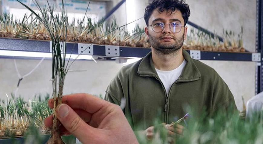 Deneme diye başladı mesleği oldu Bir odalık alanda altın gibi üretim: Gramı 600 TL’ye satılıyor