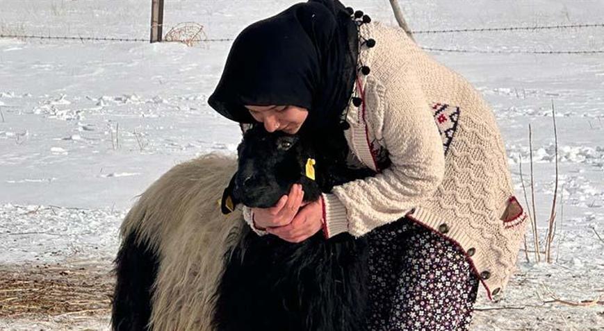 Van’da yürek ısıtan dostluk: Esmer kız ile Karakız Onu görmeden güne başlayamıyorum