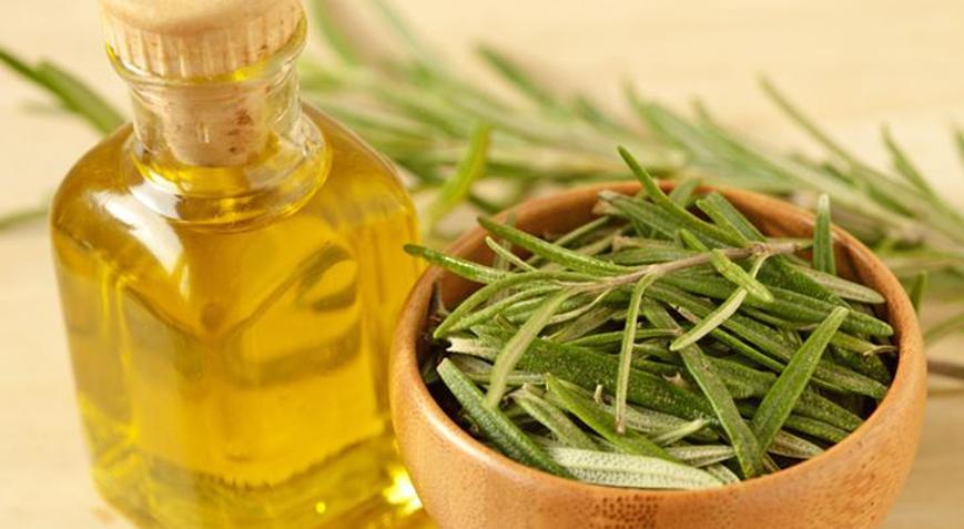 Sosyal medyanın yeni gözdesi: Biberiye yağı mucize mi, yoksa şehir efsanesi mi