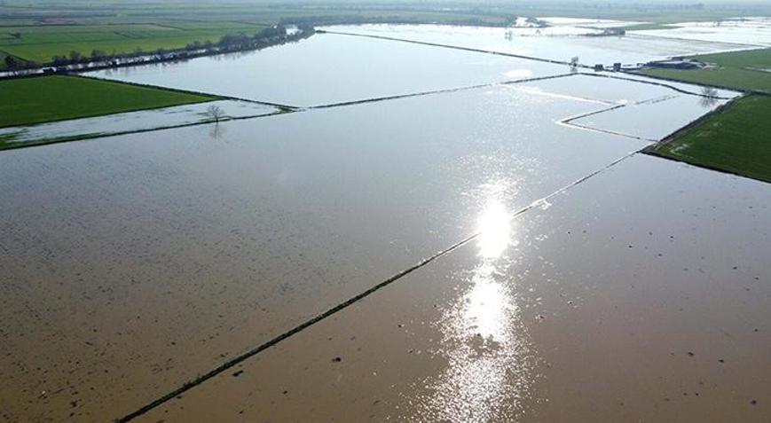 Menderes Nehri taştı: 2 bin dönümlük arazi sular altında kaldı