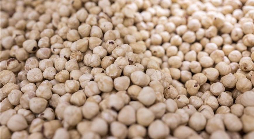 Ticaret borsalarında 217 bin tonu aşkın fındık işlem gördü