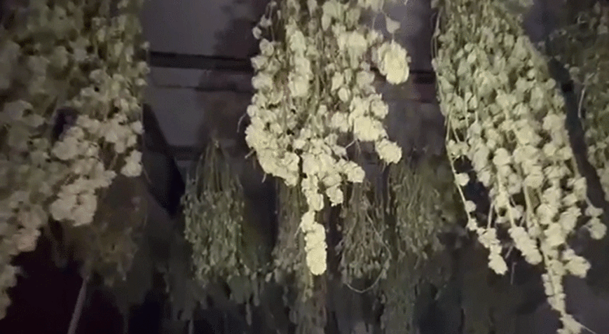 Evi seraya çevirmiş Kırklareli’nde uyuşturucu üretim üssü çökertildi