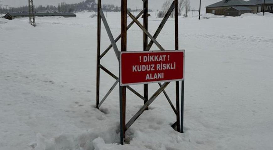 Hakkaride kuduz alarmı Bir köy karantinaya alındı, ekipler teyakkuzda