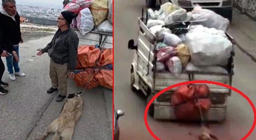 Ankarada korkunç işkence Sürüklenen köpek son anda kurtarıldı
