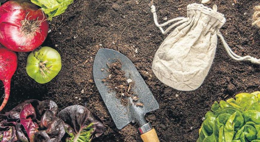 Beden ne yerse, cilt de onu konuşur