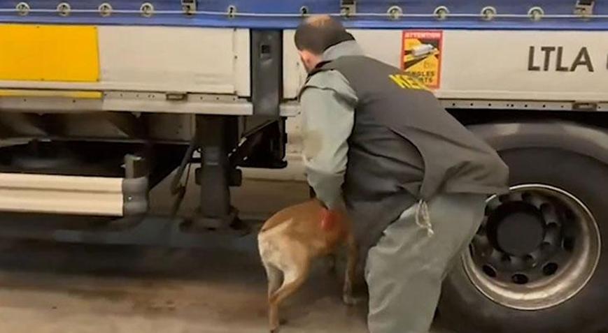 Edirnede 240 kilogram uyuşturucu ele geçirildi