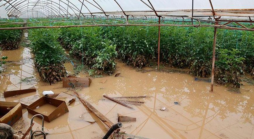 Geçen haftaki yağış ve hortumun faturası Antalyaya ağır oldu