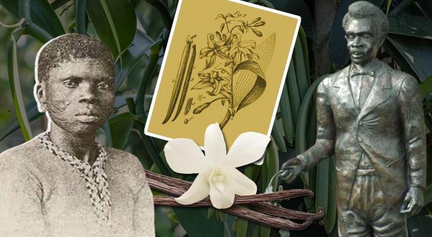 Çocuk kölenin parmaklarından vanilya döküldü Arıları taklit edip elle üretti, adı gizlendi