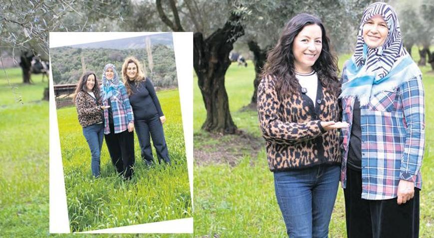 Ayşe’nin köy evi