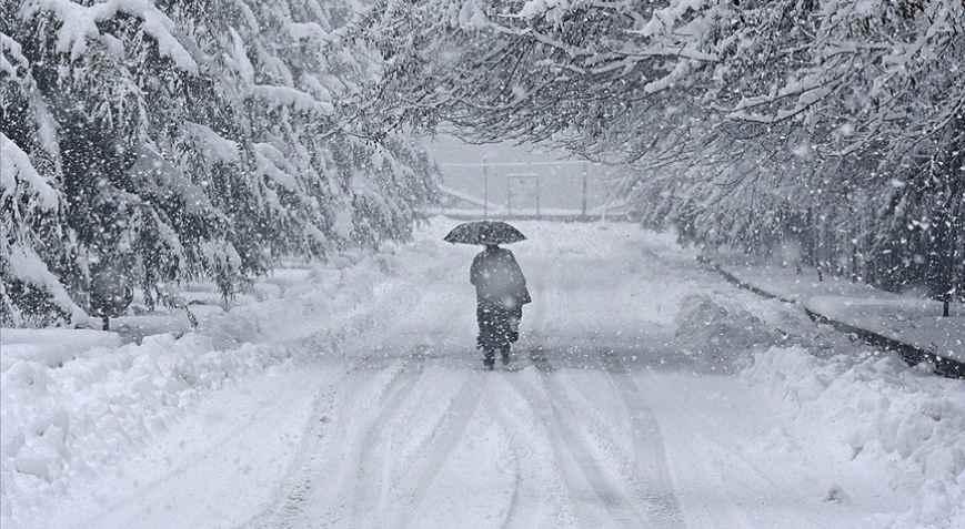 Japonyada ağır bilanço Kar felaketinde ölü sayısı 46ye yükseldi
