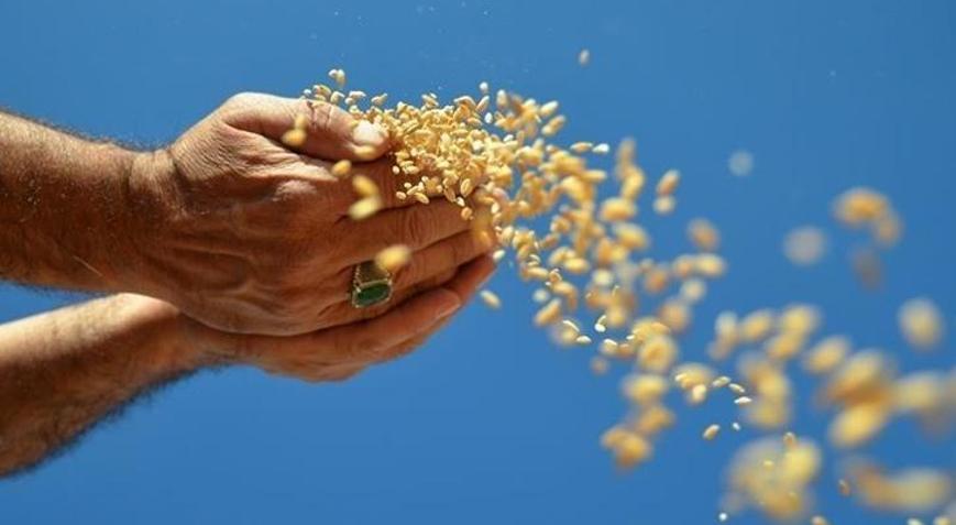 Hububat, bakliyat, yağlı tohumlar ihracatı 1 milyar dolara yaklaştı