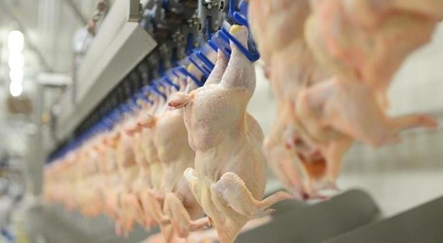 Son dakika: Tavuk ürünleri ihracatı yarın durdurulacak