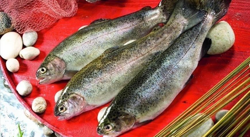 Türk somonu ihracatı yıla yükselişle başladı