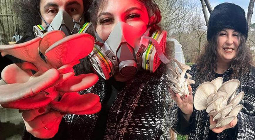 Şehri bırakıp köyde mantar üreticisi oldular ‘Orta vadede tatmin edici geliri var’