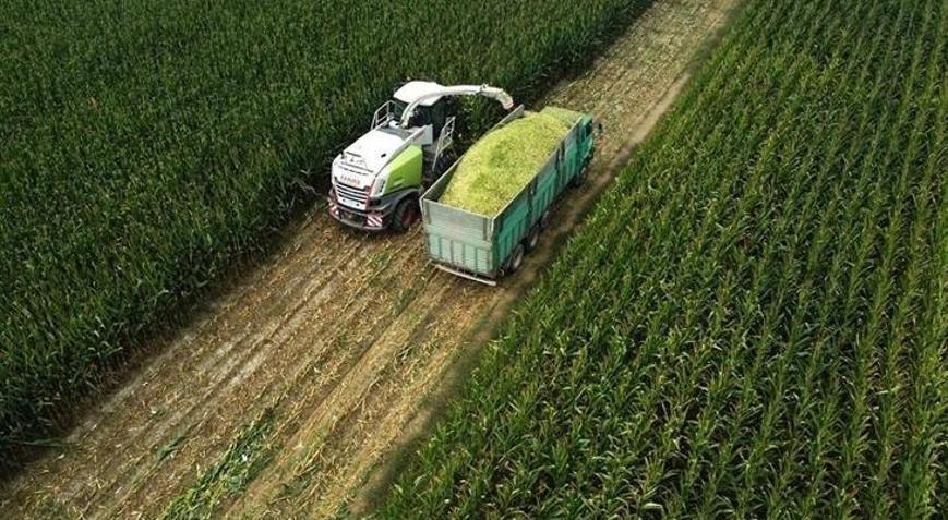 Tarım ÜFE ocakta aylık bazda yüzde 8,46 arttı