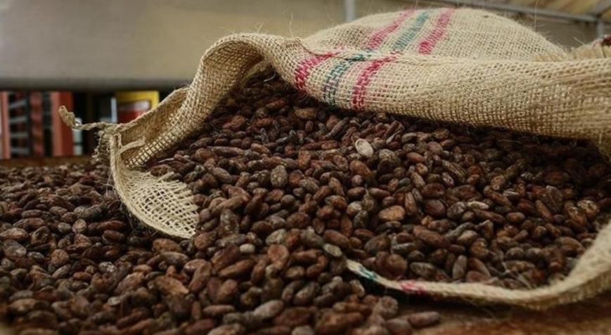 Türkiye yetiştirmediği kakaodan 1,7 milyar dolar kazandı