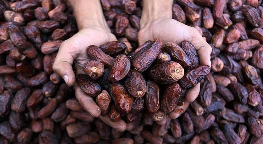 Ramazanın yıldızı hurma için 5 yılda yaklaşık 279 bin ton ithalat