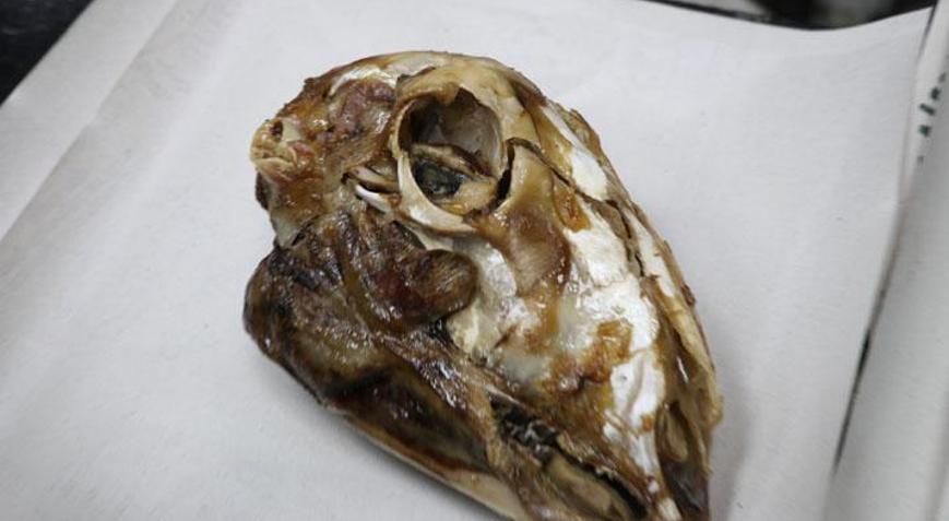 Gözünün yağını yiyeyim deyiminin sırrı ortaya çıktı