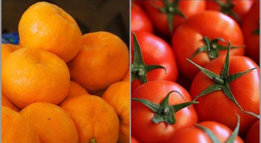 İstanbulda ocakta en çok mandalina ve domates tüketildi