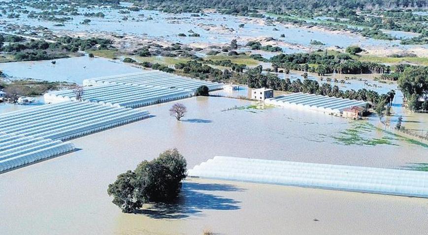 Buğday, arpa, kışlık sebzeler zarar gördü: Sağanak, tarım alanlarını vurdu