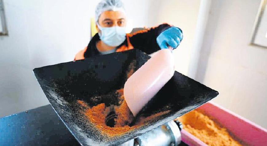 Can dostlara sağlıklı mama