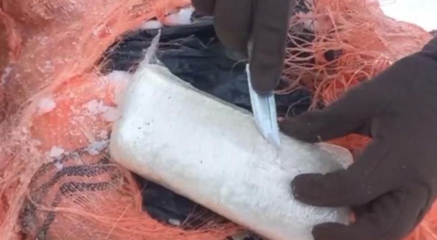 İçişleri Bakanlığı: Van ve Hakkari’de 406 kilogram uyuşturucu ele geçirildi